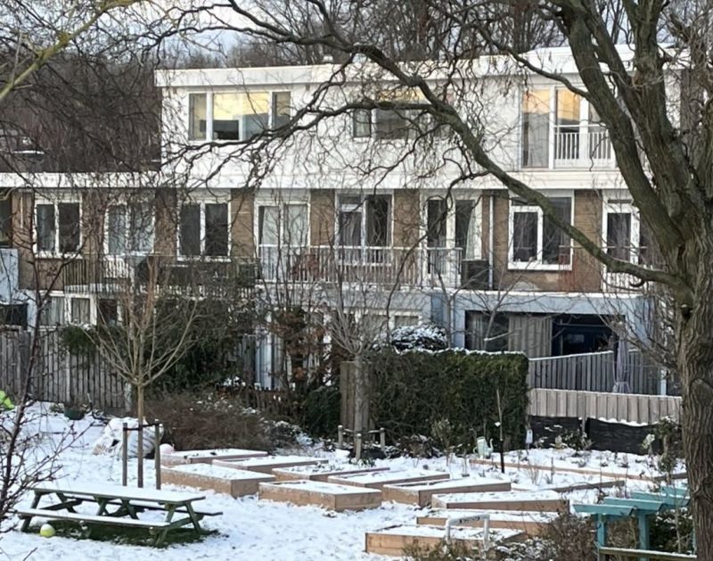 Moestuin in de sneeuw 11 jan 2026 3 .jpeg