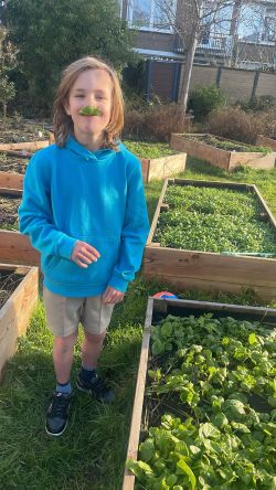 De spinazie is klaar!